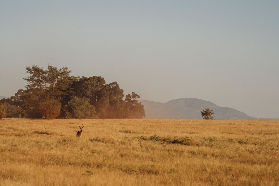 FIH Fotografie » Zuid Afrika